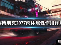 《赛博朋克2077》肉体属性有什么用 肉体属性作用详解