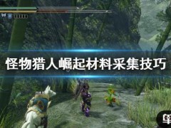 《怪物猎人崛起》材料不够怎么办 材料采集技巧
