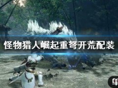 《怪物猎人崛起》重弩开荒怎么配装 重弩开荒配装技巧