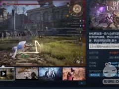 《神佑释放》Steam平台公测 玩家多半差评