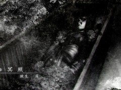 《零：濡鸦之巫女》第三章 冥照最佳玩法