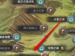 黑色沙漠手游特兰特木工工具知识在哪里拿