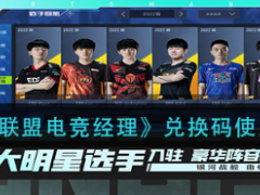 英雄联盟电竞经理兑换码怎么用