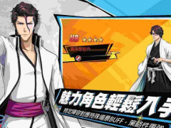 角色养成对战RPG死神