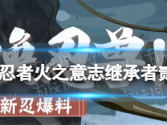 火影忍者手游火之意志继承者贰技能